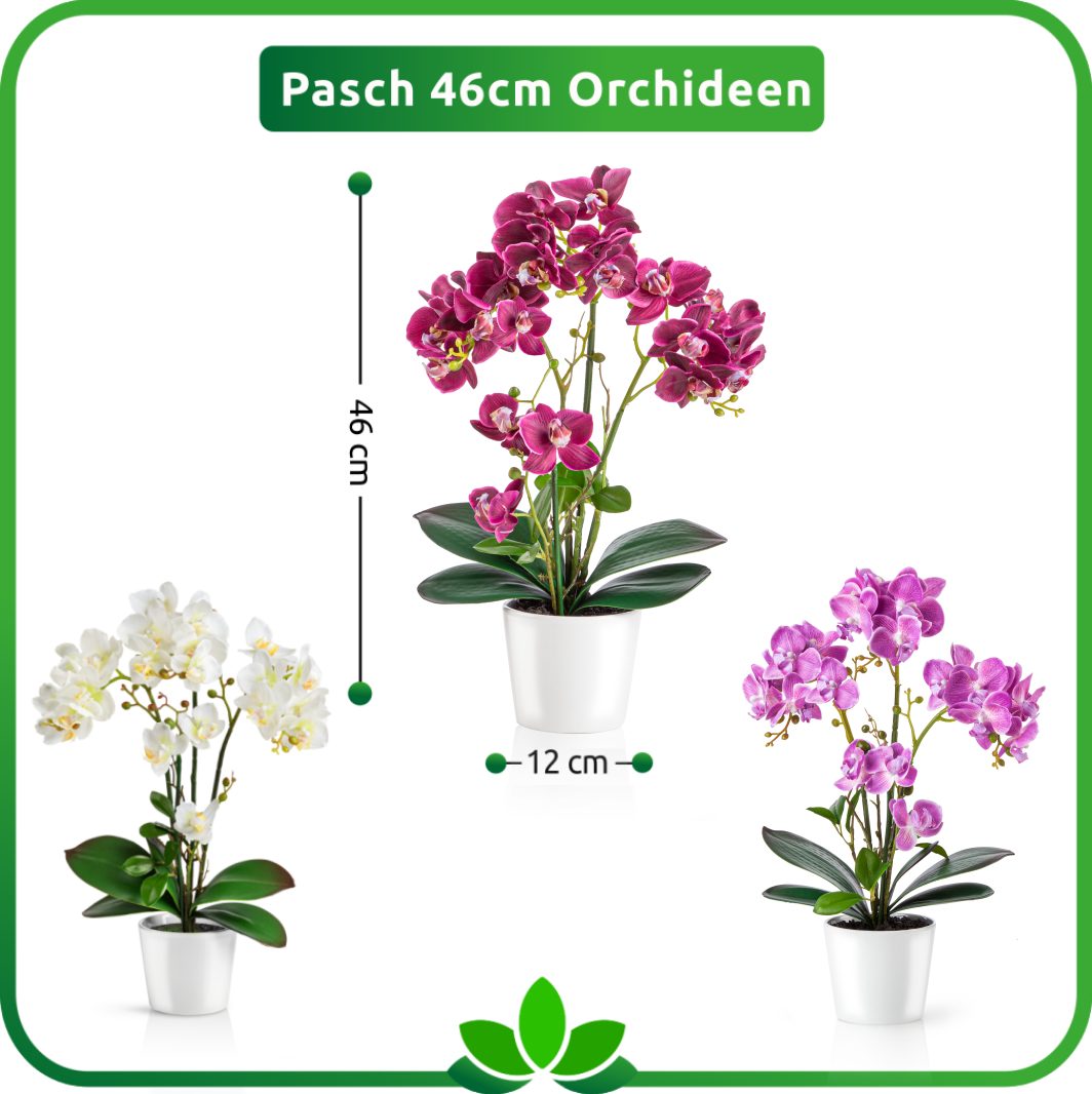 Kunstorchidee PASCH® Orchidee künstlich wie echt (46cm) in Hochglanz-Keramiktopf Orchidee, PASCH, Real Touch – Bild 5 von 5