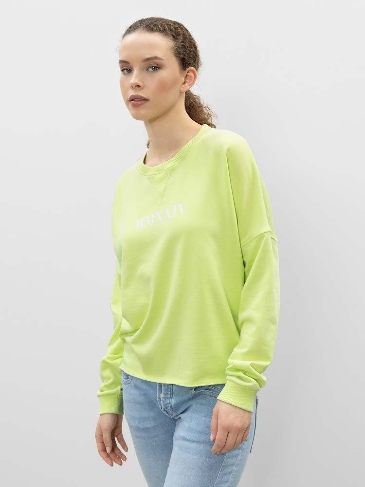 Herrlicher Rundhalspullover Smila Jersey Velour aus günstig online kaufen