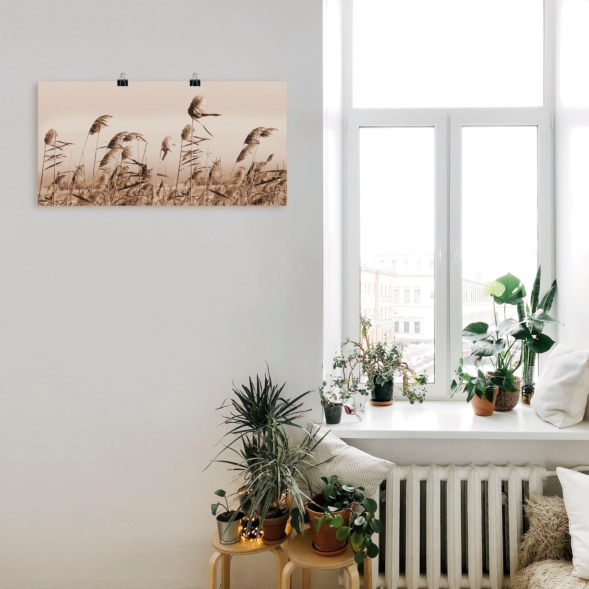 Artland Wandbild Gräser, Gräser (1 St), günstig online kaufen