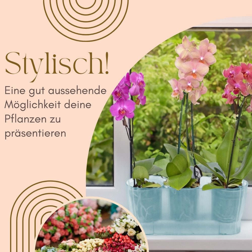 GarPet Blumentopf 2er Set Orchideentopf Transparent Orchideen Über Pflanz groß Elegant