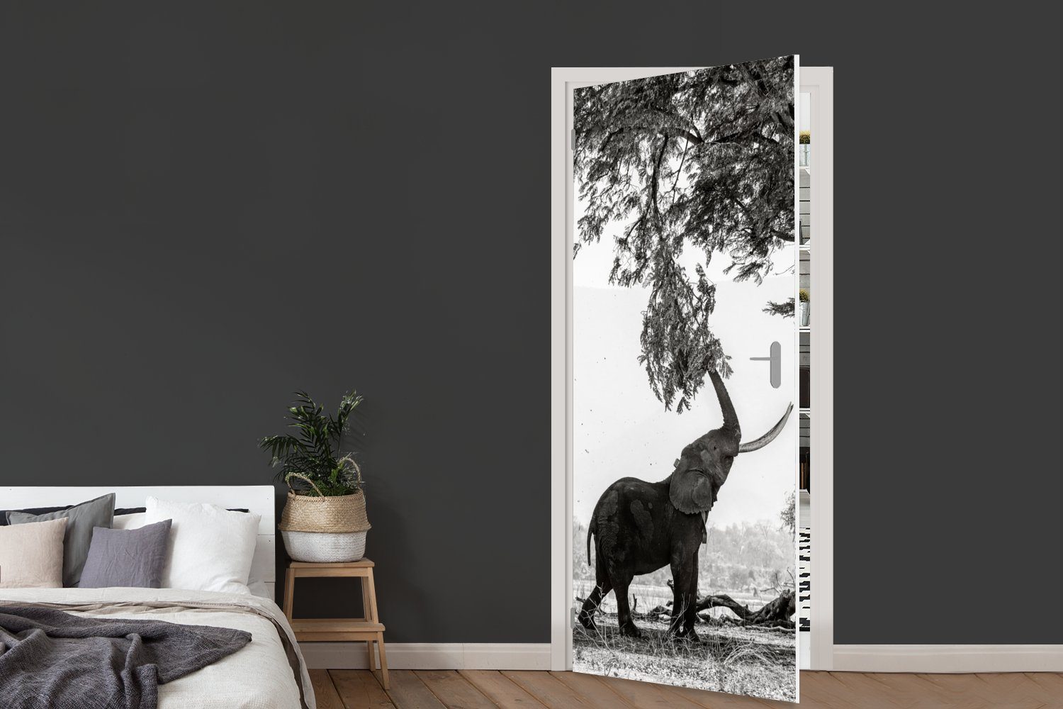 - Tür, Türtapete bedruckt, Fototapete (1 weiß, Schwarz und - Elefant Baum 75x205 Türaufkleber, - St), Tiere cm Matt, für MuchoWow