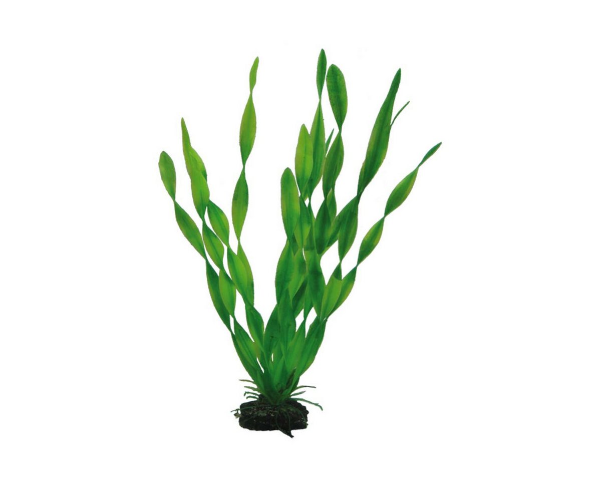 Thumbnail - HOBBY Aquariendeko Vallisneria, 34 cm Kunststoffpflanze für Aquarien