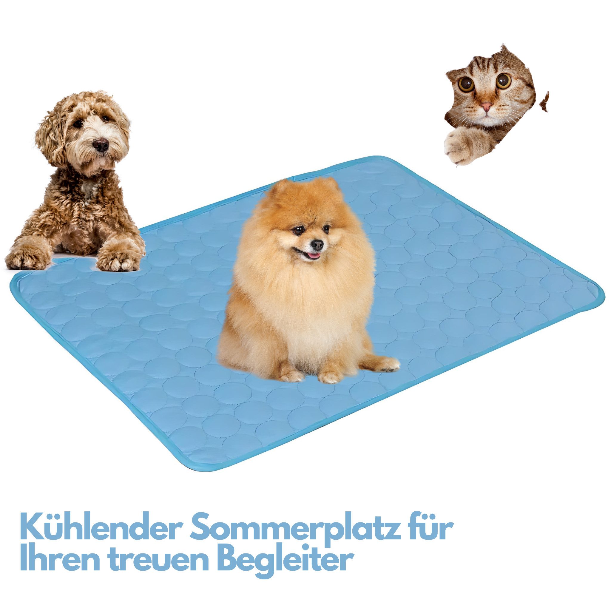 HS.SUPPLY Hundematte kühlende Matte für Ihr Haustier, Selbstkühlend & Atmungsaktiv, Ideal für Hunde oder Katzen