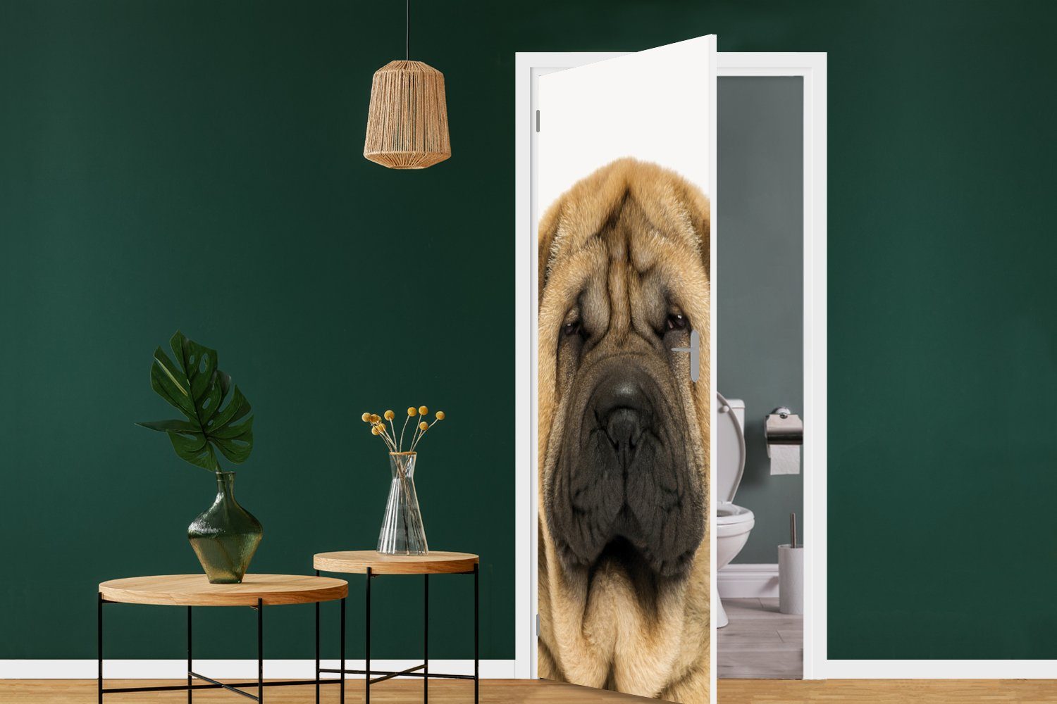 - Türaufkleber, Sharpei Haustiere Matt, cm für St), Mädchen Tür, Türtapete 75x205 bedruckt, (1 MuchoWow Kinder, Hund - - Fototapete - - Jungen