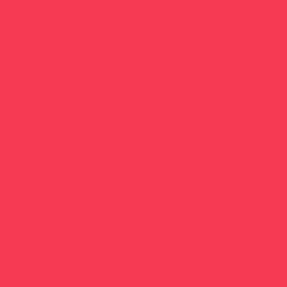 Signierspray - rot Signalspray neon 400ml 12x Markierungsspray BigDean Sprühfarbe