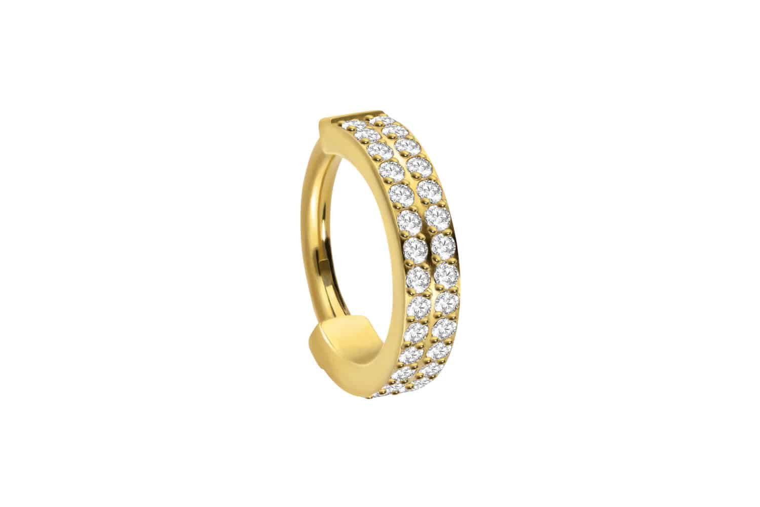 PIERCINGLINE Nasenpiercing Titan Segmentring Clicker ZWEI EINGEFASSTE KRIST günstig online kaufen