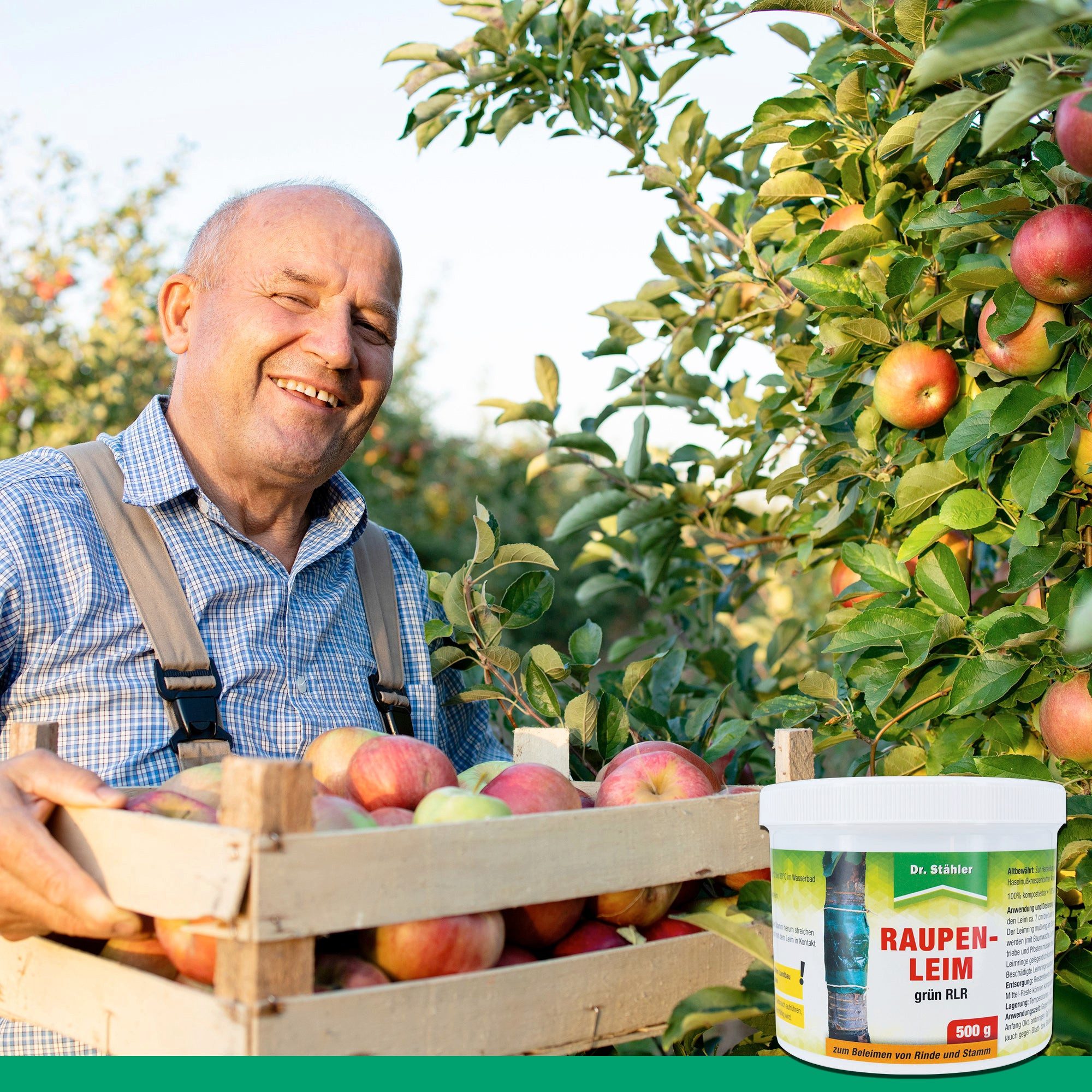 Dr. Stähler Pflanzen-Pilzfrei Raupenleim – Effektive Schädlingsbarriere für Bäume und Pflanzen, 4-St., 2 kg, Schützt vor Raupenfraß und anderen kriechenden Schädlingen, Ganzjährig
