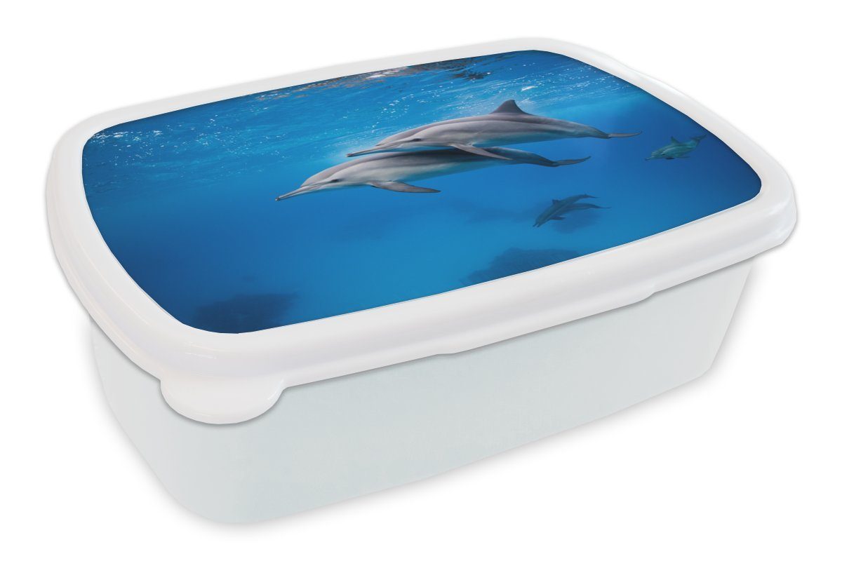 MuchoWow Lunchbox Delfin - Meer - Ägypten, Kunststoff, (2-tlg), Brotbox für Kinder und Erwachsene, Brotdose, für Jungs und Mädchen weiß