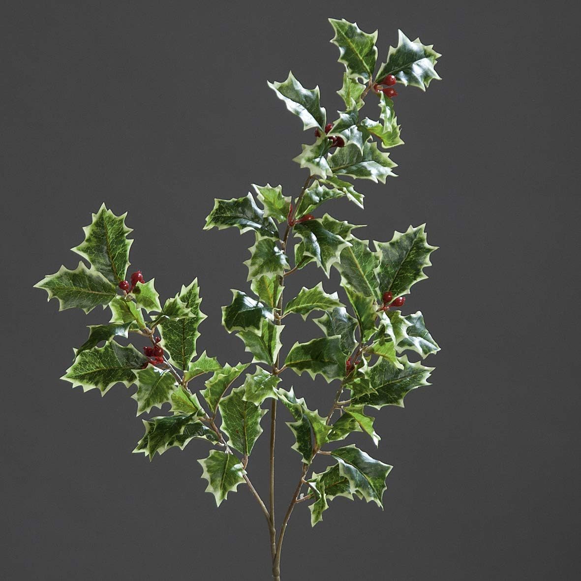 Winterliche Kunstpflanze Ilexzweig Grün-Weiß mit roten Beeren Höhe 52cm Kunstzweig Ilex, mucPlants