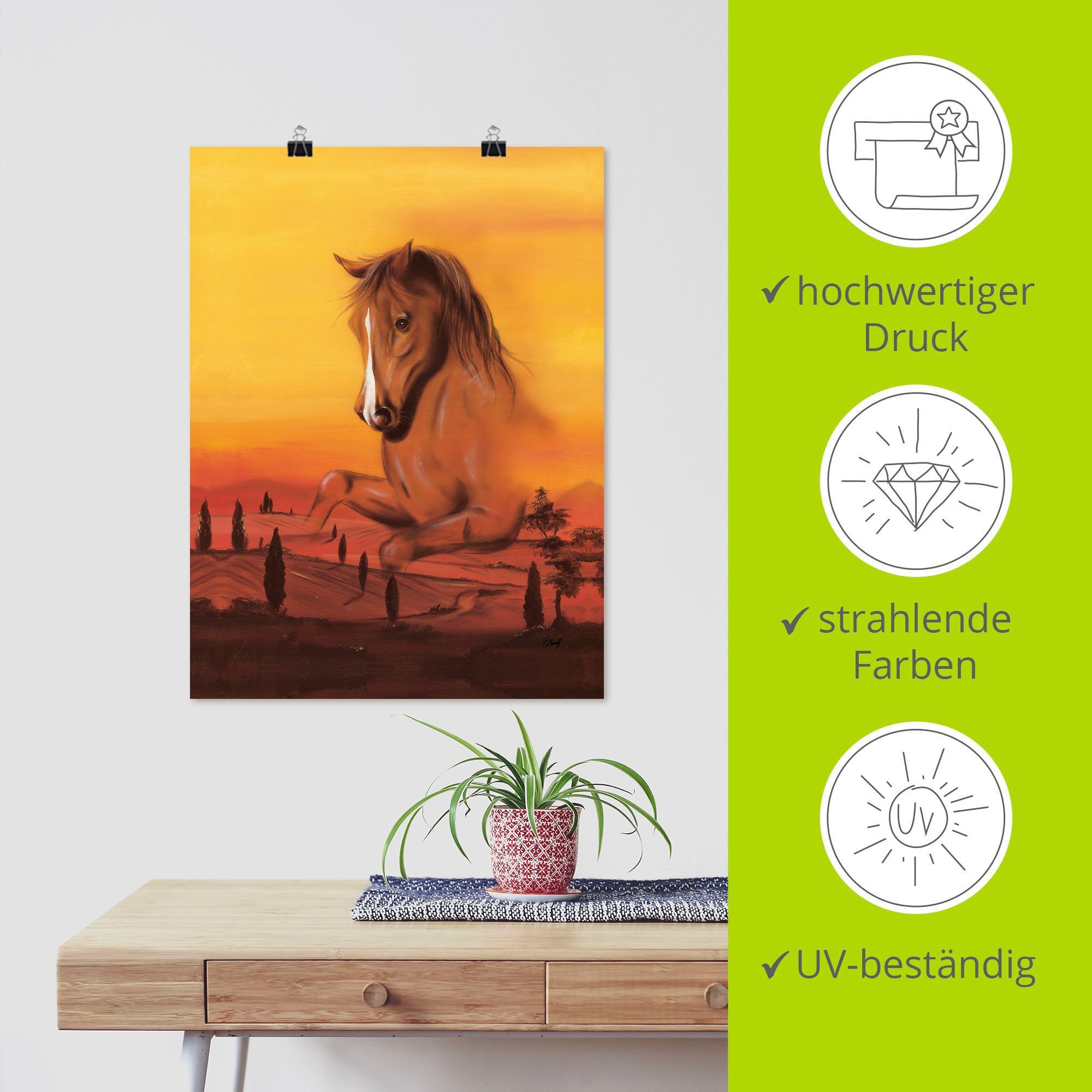 Alubild, Artland Wildpferd II, Leinwandbild, Wandbild Wandaufkleber oder Pferdebilder Größen versch. als (1 St), in Poster