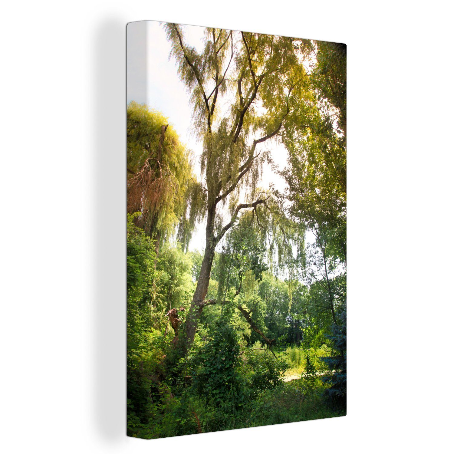 OneMillionCanvasses® Leinwandbild Wald - Efeu - Trauerweide, (1 St), Leinwandbild fertig bespannt inkl. Zackenaufhänger, Gemälde, 20x30 cm