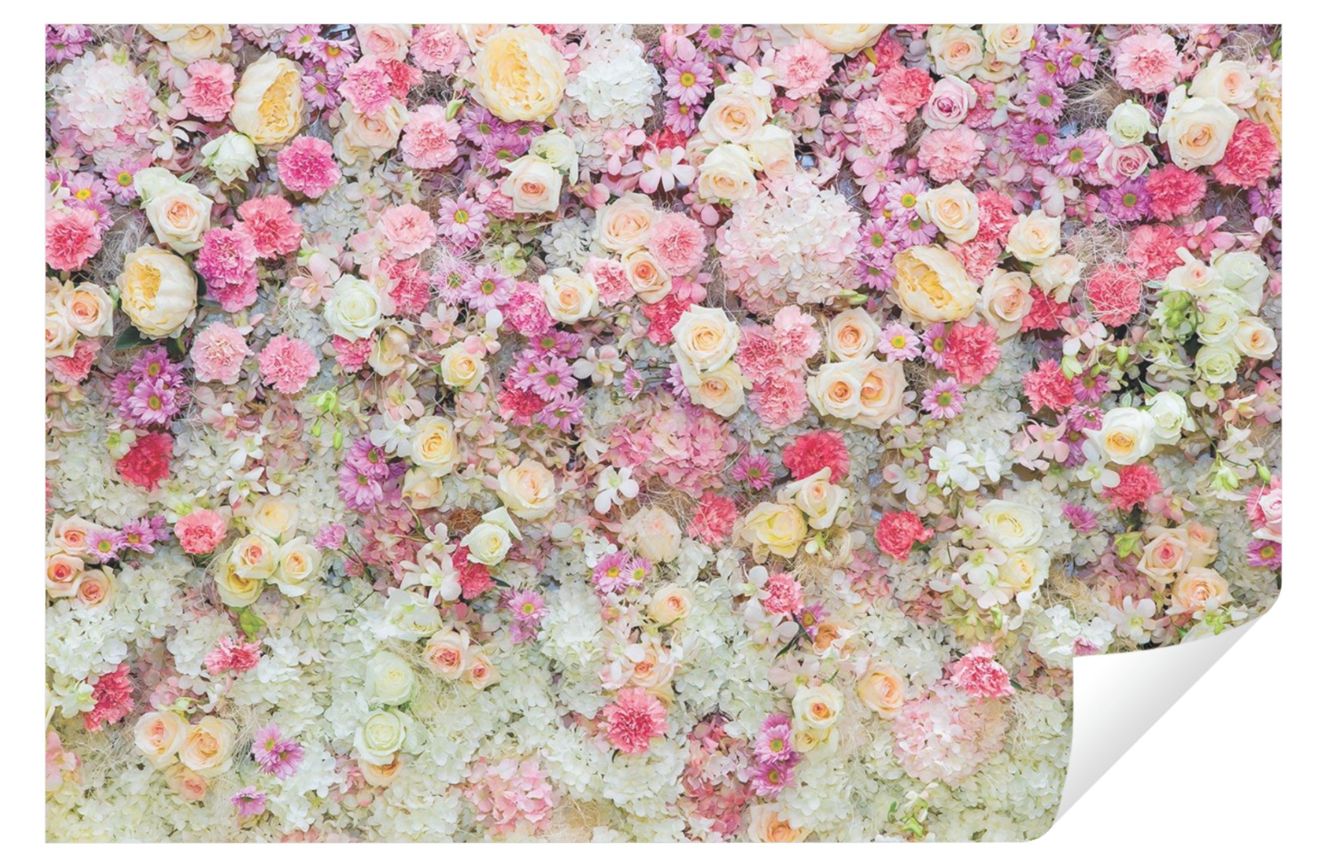 Wallarena Fototapete Blumen Rose Vlies Tapete Wohnzimmer Schlafzimmer Wandtapete, Glatt Vlies, Blume, Tapete inklusive Kleister Vliestapete Motivtapete