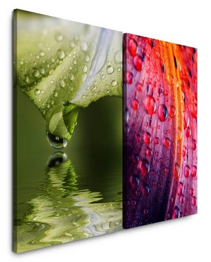 Sinus Art Leinwandbild 2 Bilder je 60x90cm Wasserperle grüne Blüte Bachblüte Erfrischend Natur Harmonisch Beruhigend