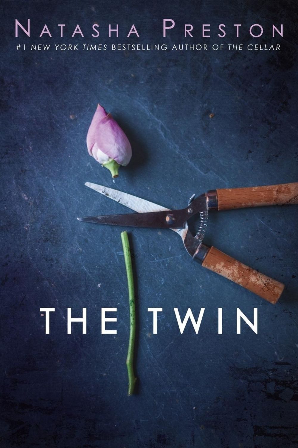 The Twin / Natasha Preston
