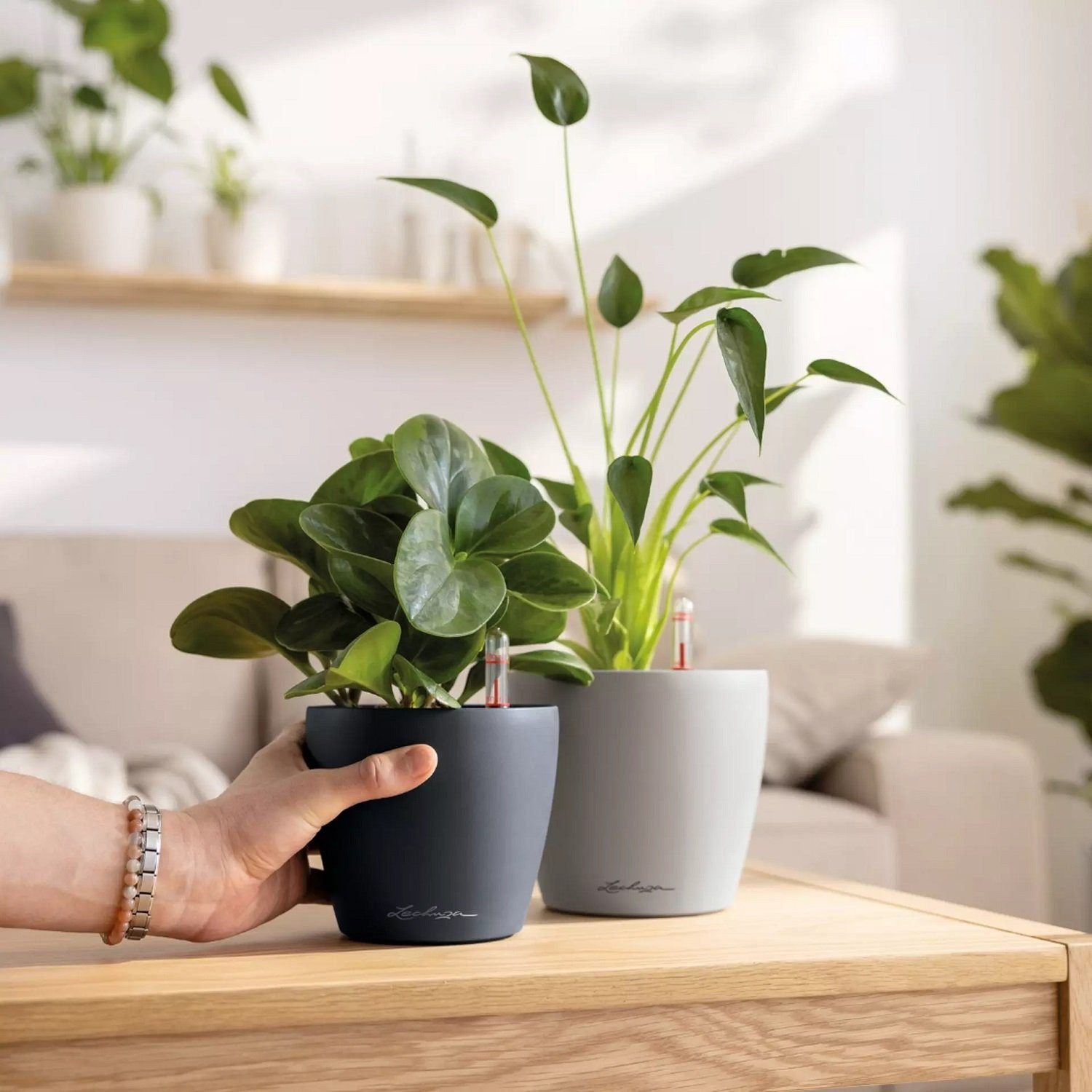 Lechuza® Blumentopf Classico Color 12 sandbraun günstig online kaufen