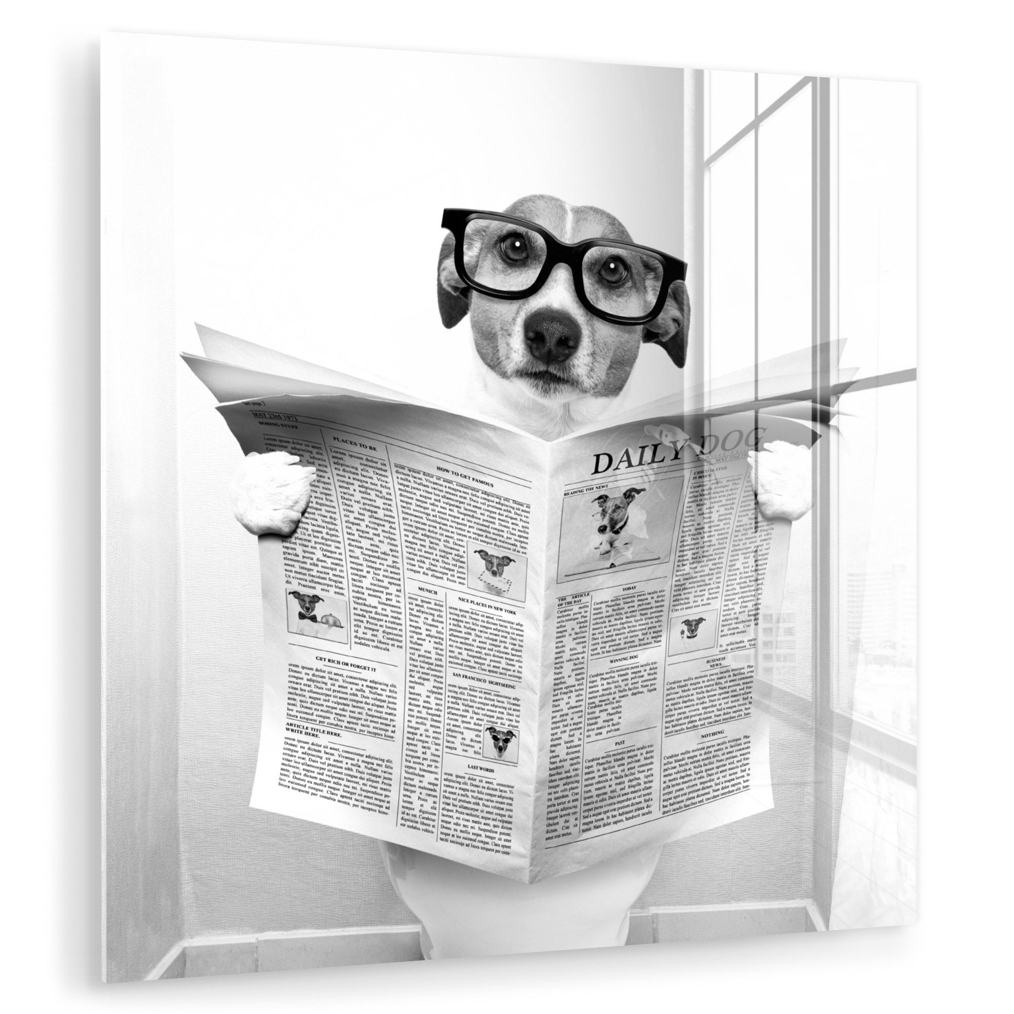 Acrylglasbild Hund - Zeitung - Toilette - Schwarz und weiß - Tiere