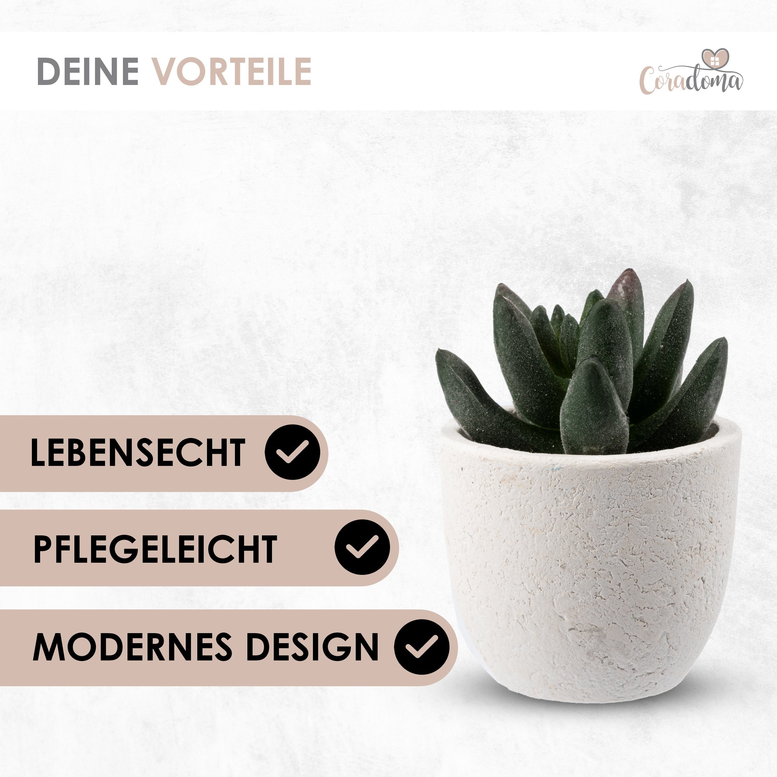 Kunstpflanze Künstliche Pflanzen im Topf Mini Set Dekoration Modern Wohnzimmer Sukkulente, Coradoma – Bild 5 von 5