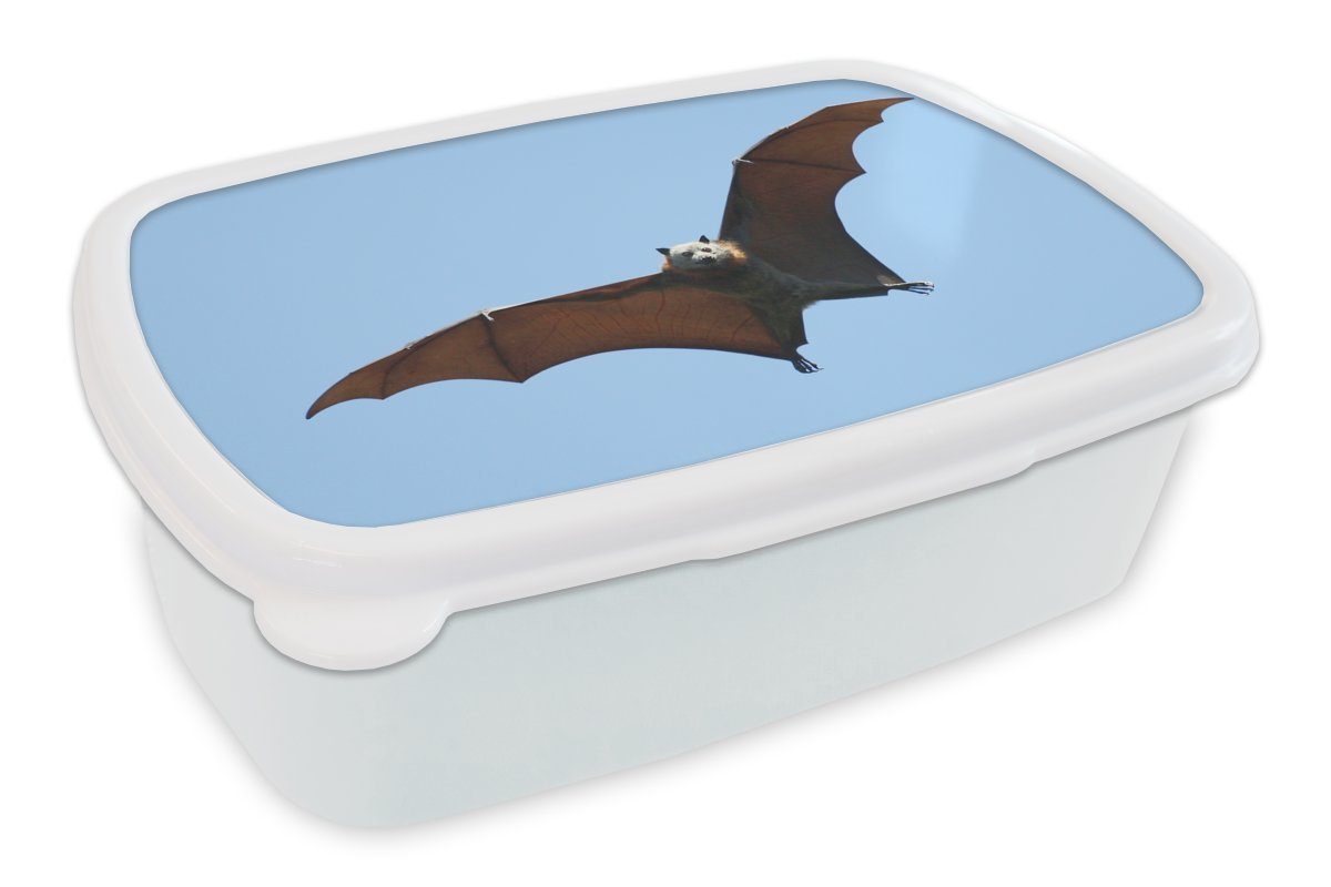 MuchoWow Lunchbox Fledermaus - Luft - Flügel, Kunststoff, (2-tlg), Brotbox für Kinder und Erwachsene, Brotdose, für Jungs und Mädchen weiß | Lunchboxen
