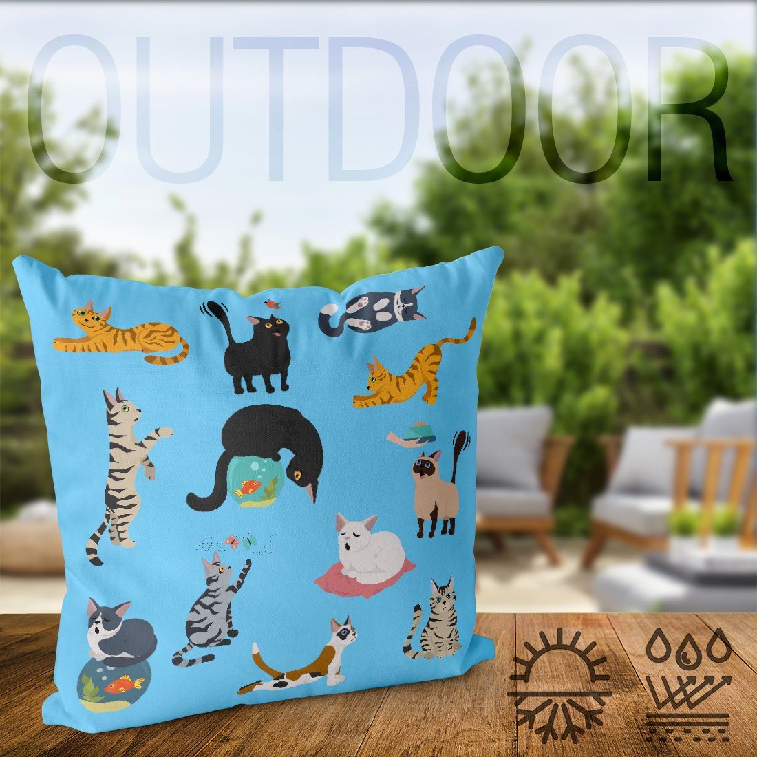 (1 Kartäuser Haustier Sofa-Kissen VOID Tier Kissenbezug, Stück), blau Scottish Kätzchen Kissenbezug Katzenbande Katze