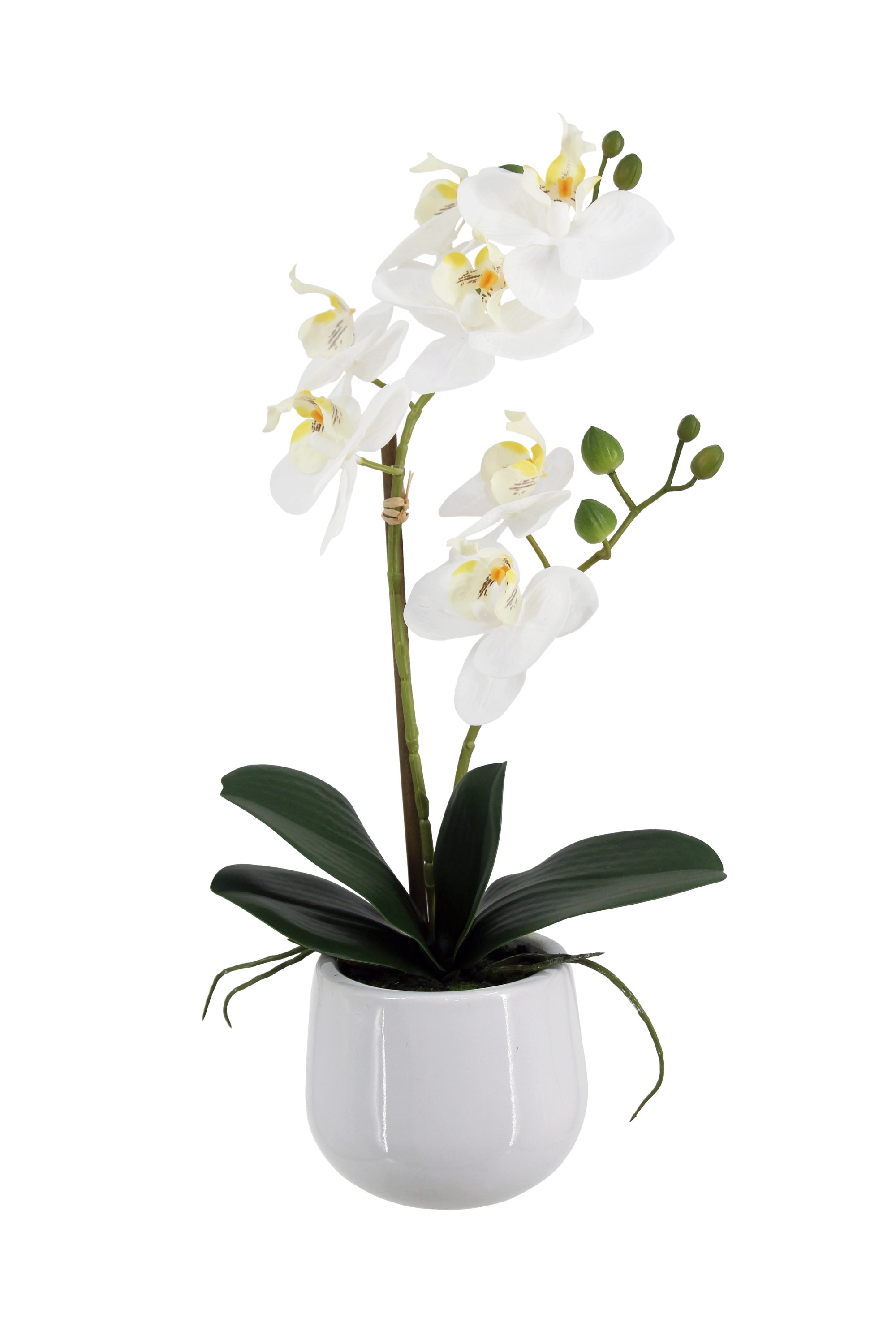 Kunstblume Künstliche Orchidee - Mian, 45 cm, aplanta