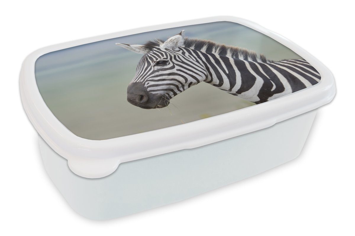 MuchoWow Lunchbox Zebra Nahaufnahme, Kunststoff, (2-tlg), Brotbox für Kinder und Erwachsene, Brotdose, für Jungs und Mädchen weiß