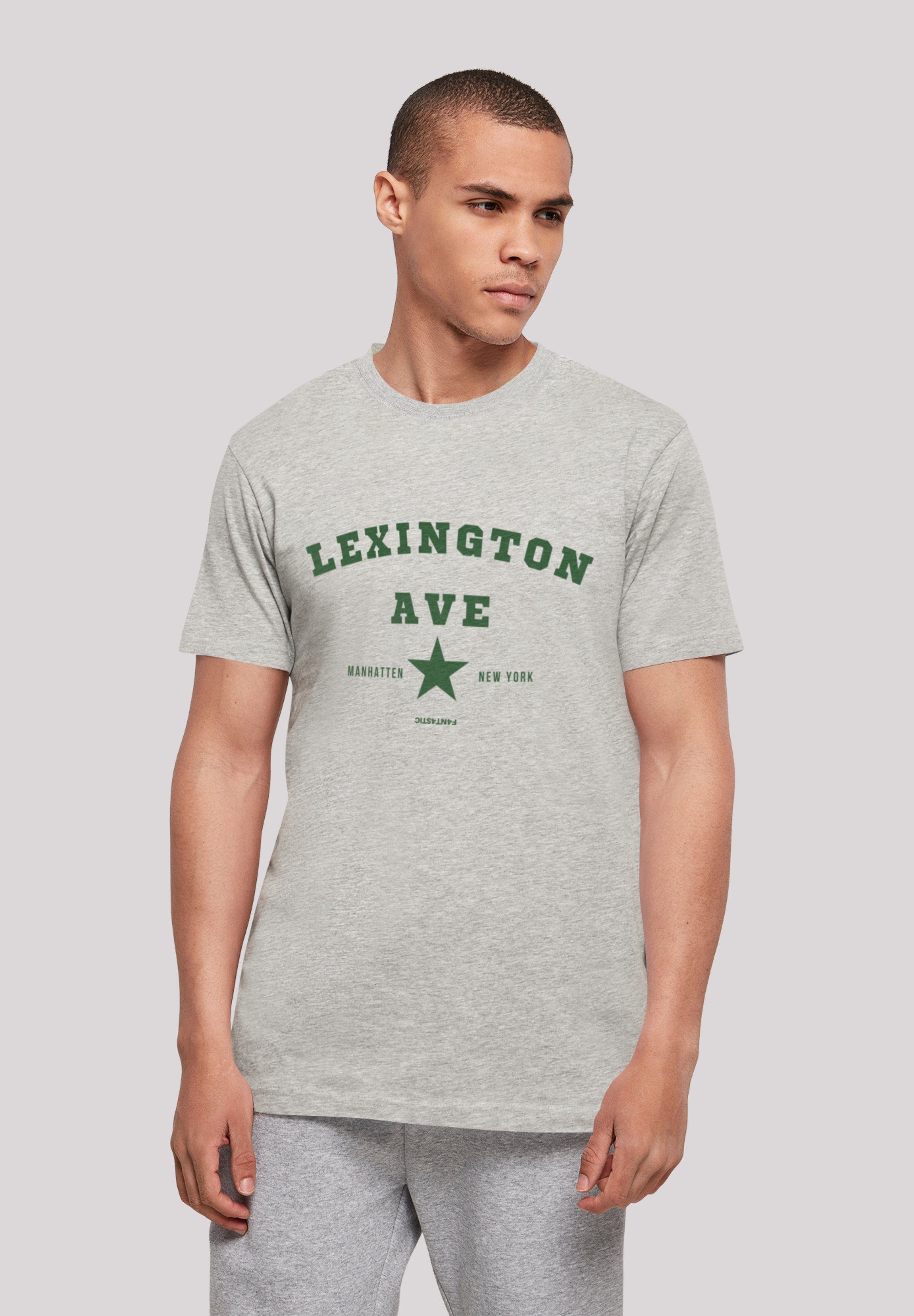 Ave TEE grey F4NT4STIC Print Lexington T-Shirt heather UNISEX