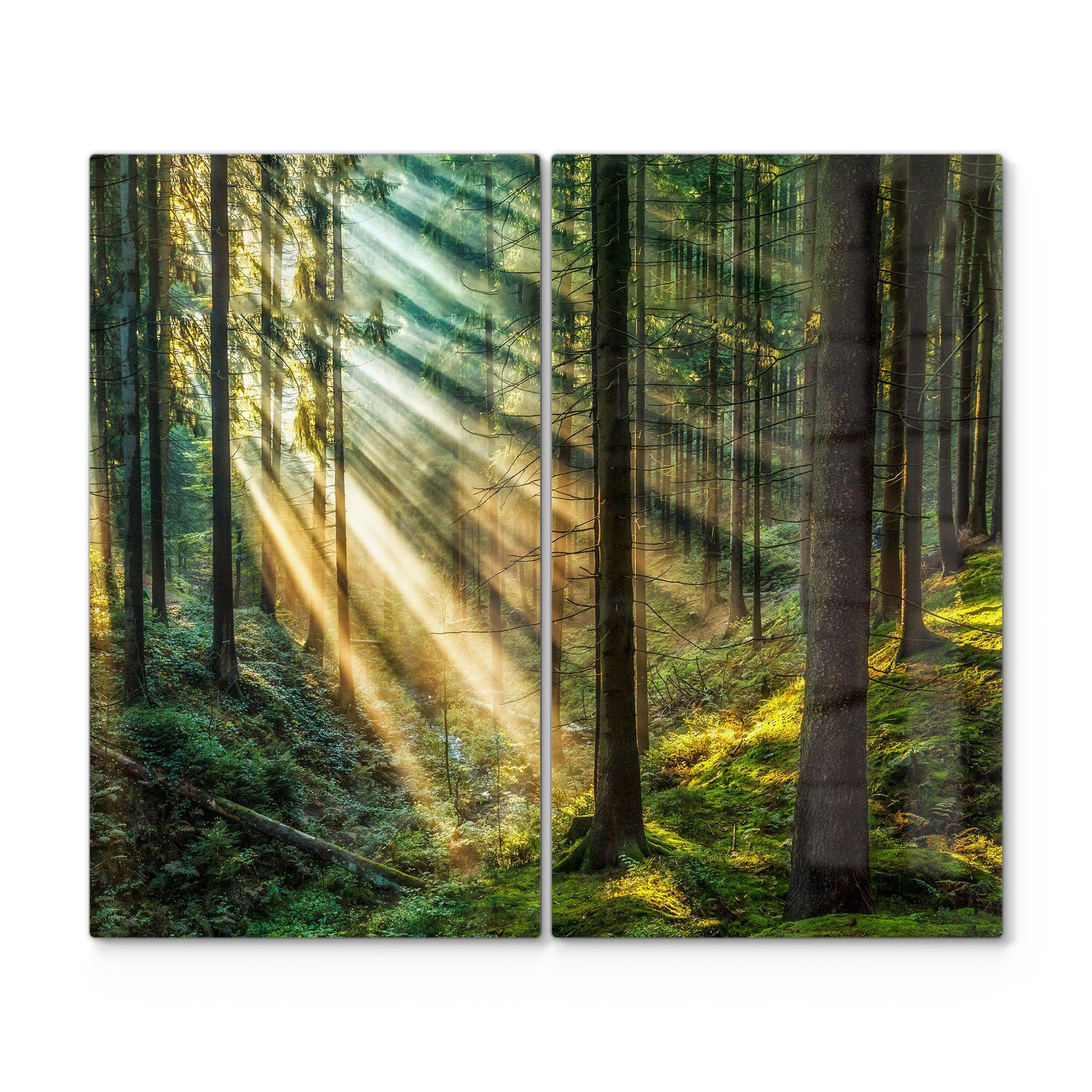 DEQORI Herdblende-/Abdeckplatte 'Licht durchbricht Bäume', Glas, (2 tlg), Glas Herdabdeckplatte Ceranfeld Herd