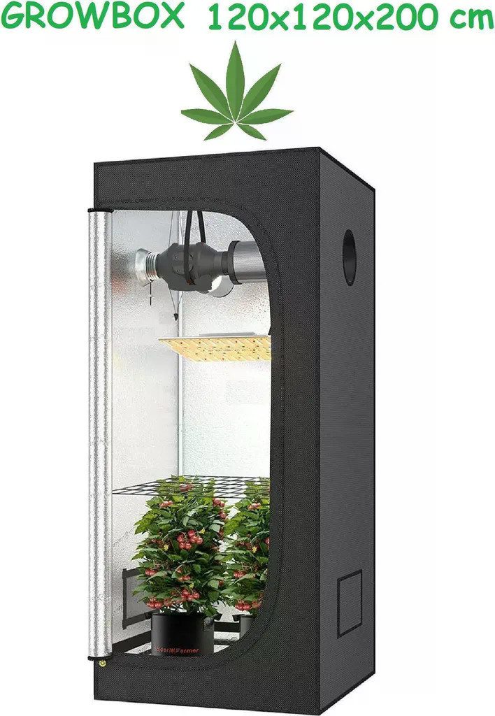 JUNG Gewächshaus Growbox Growzelt Indoor 120x120x200cm Premium Mylar 97% reflektierend, Cannabis Balkon, Wasserdicht, Grow Tent