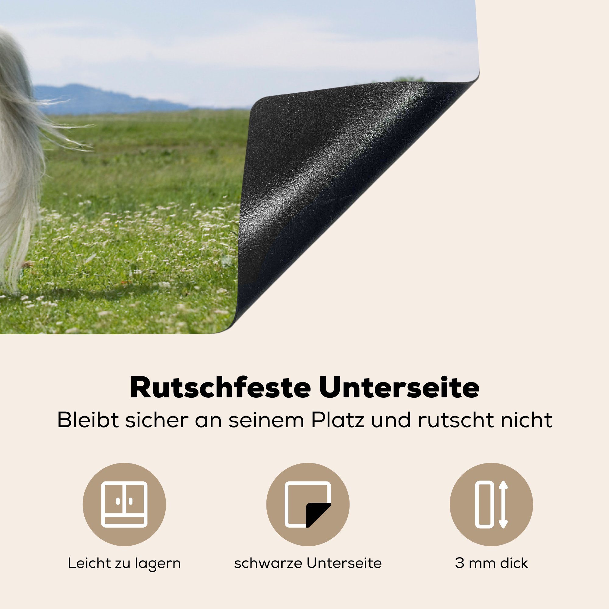 tlg), Vinyl, 81x52 Ceranfeldabdeckung Natur, Herdblende-/Abdeckplatte die Aufzucht (1 Pferd - cm, - MuchoWow für Induktionskochfeld Schutz küche,