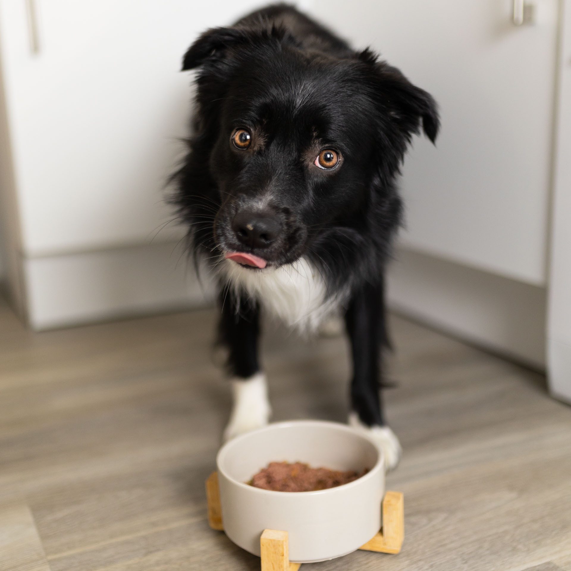 Tales & Tails Nassfutter Ich habe PFERDich 400g, Nassfutter für: Hunde