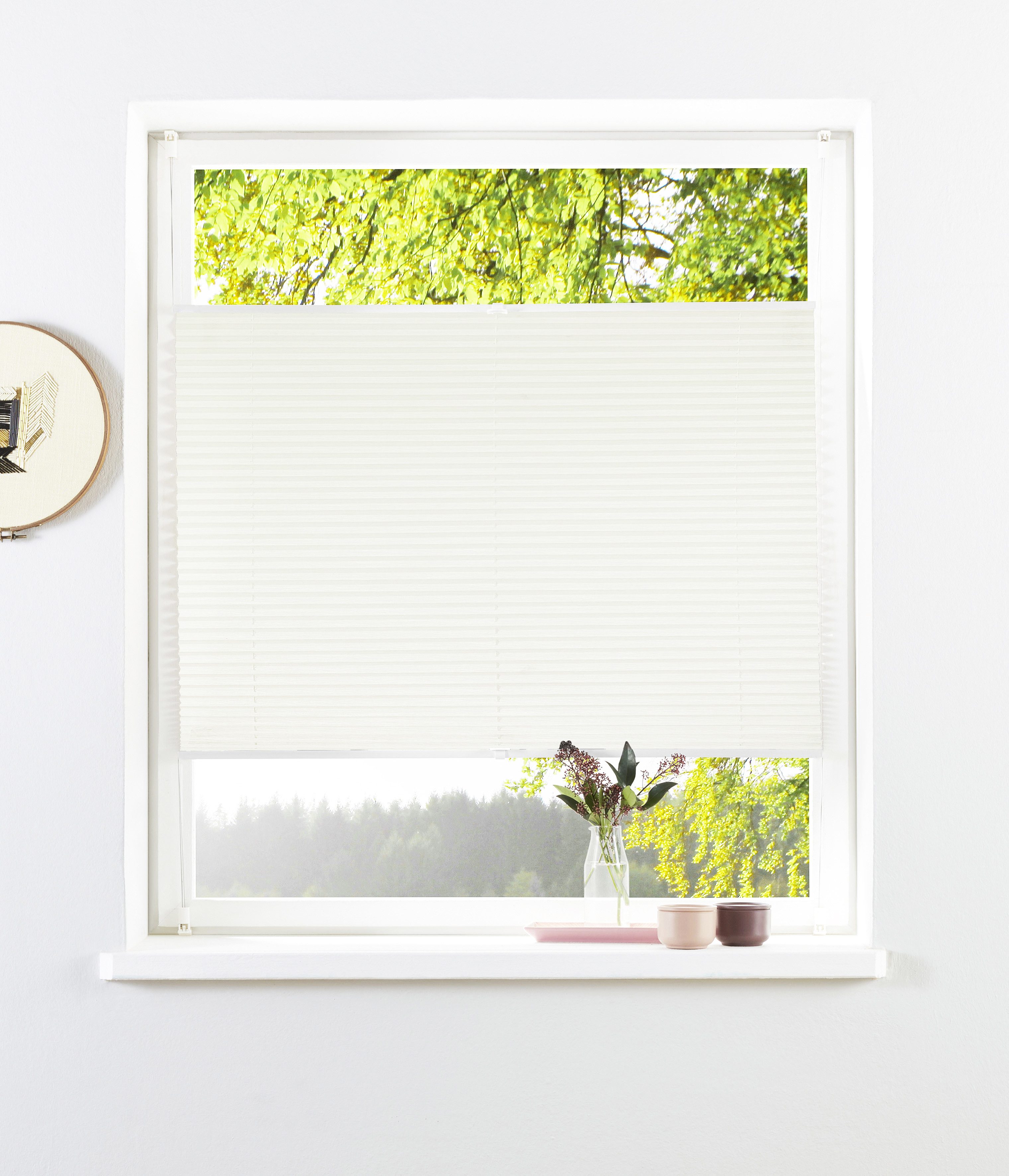 OTTO home Plissee ZANNIE, Lichtschutz, ohne Bohren, verspannt, Klemmfix, mit feiner Linienstruktur, zeitlos, für Fenster & Tür - NEUHEIT!