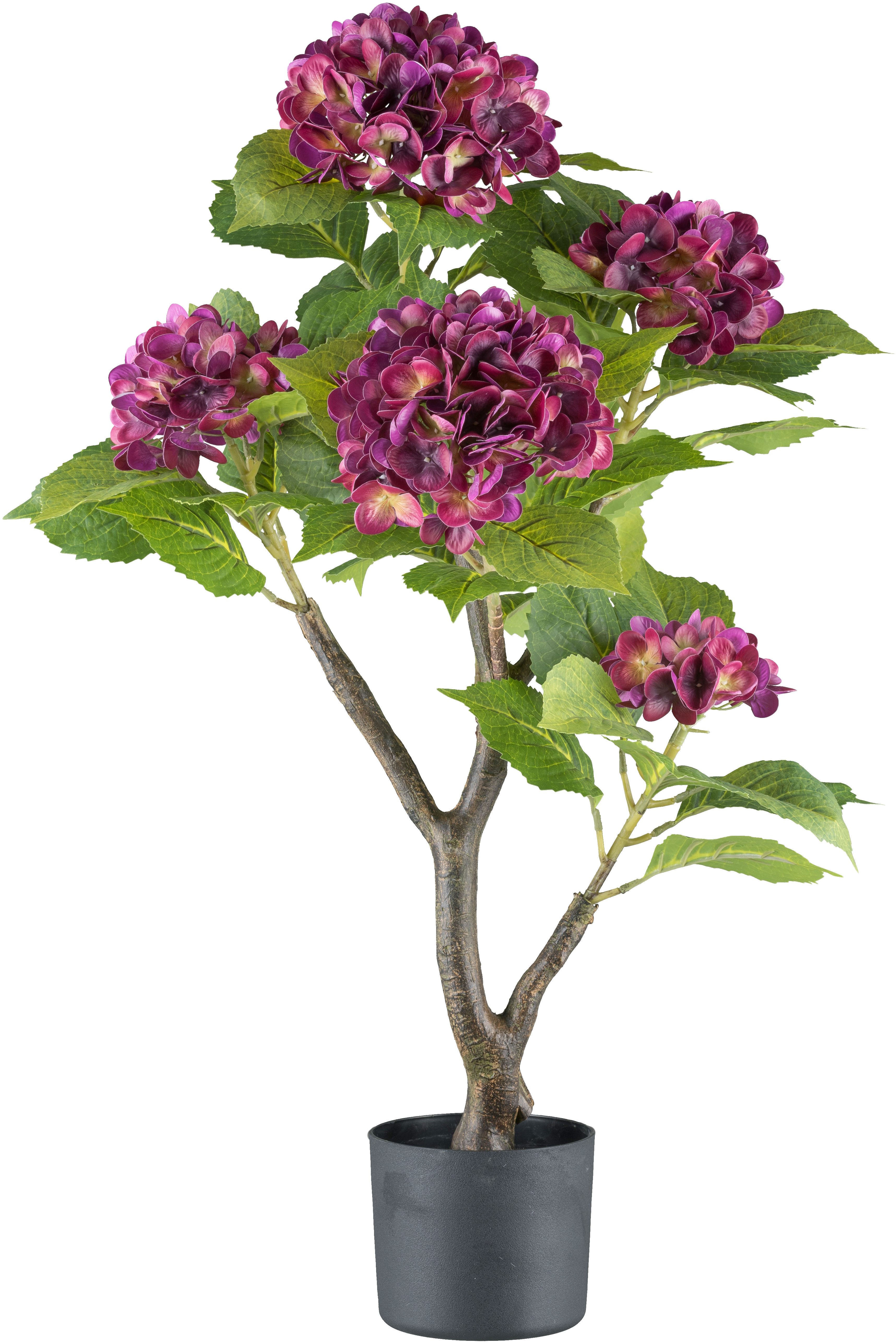 Kunstblume Hortensie Blühpflanze, Creativ green, Höhe günstig online kaufen