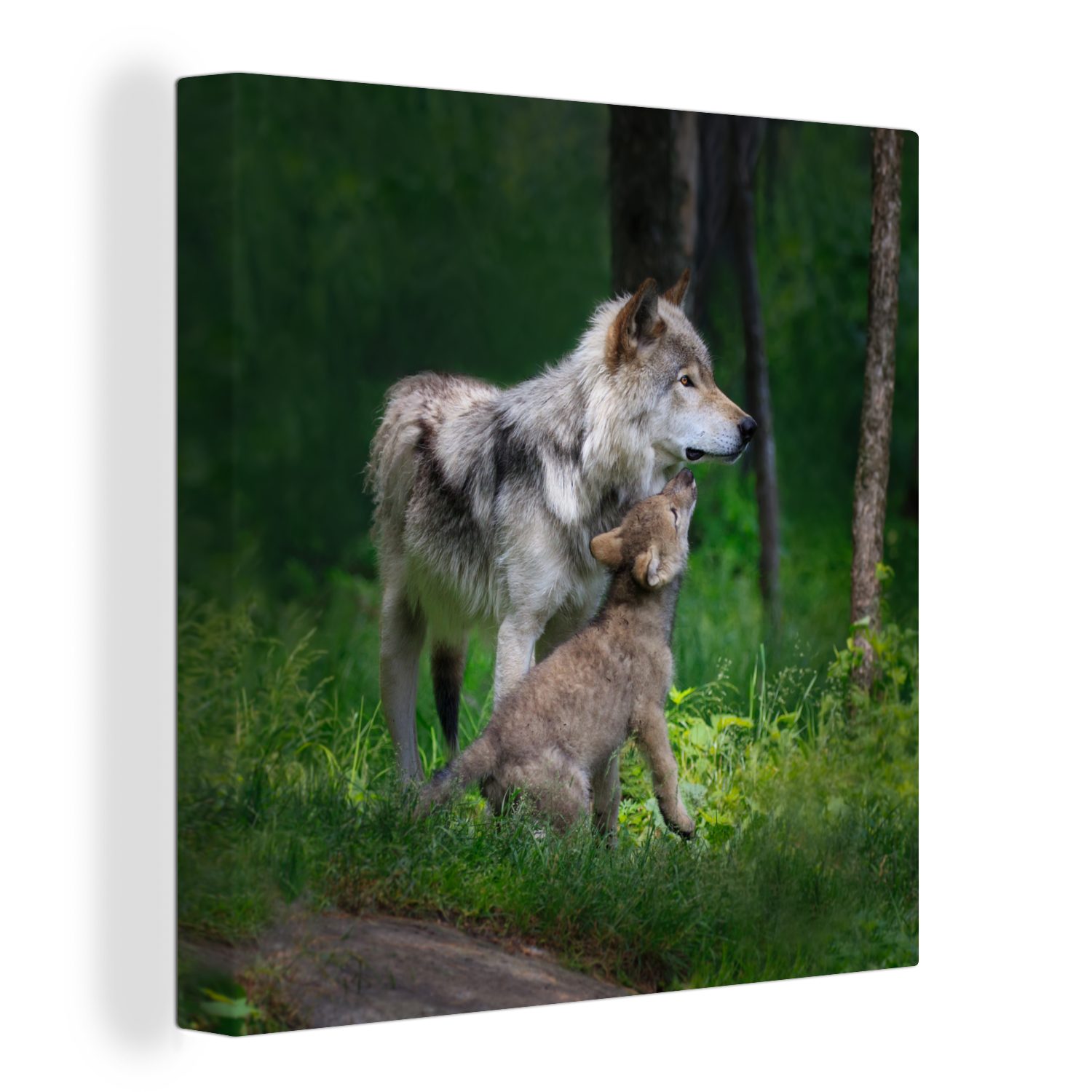 Leinwand Leinwandbild Wolf St), Baby - OneMillionCanvasses® Schlafzimmer für Bilder Wald, - (1 Wohnzimmer