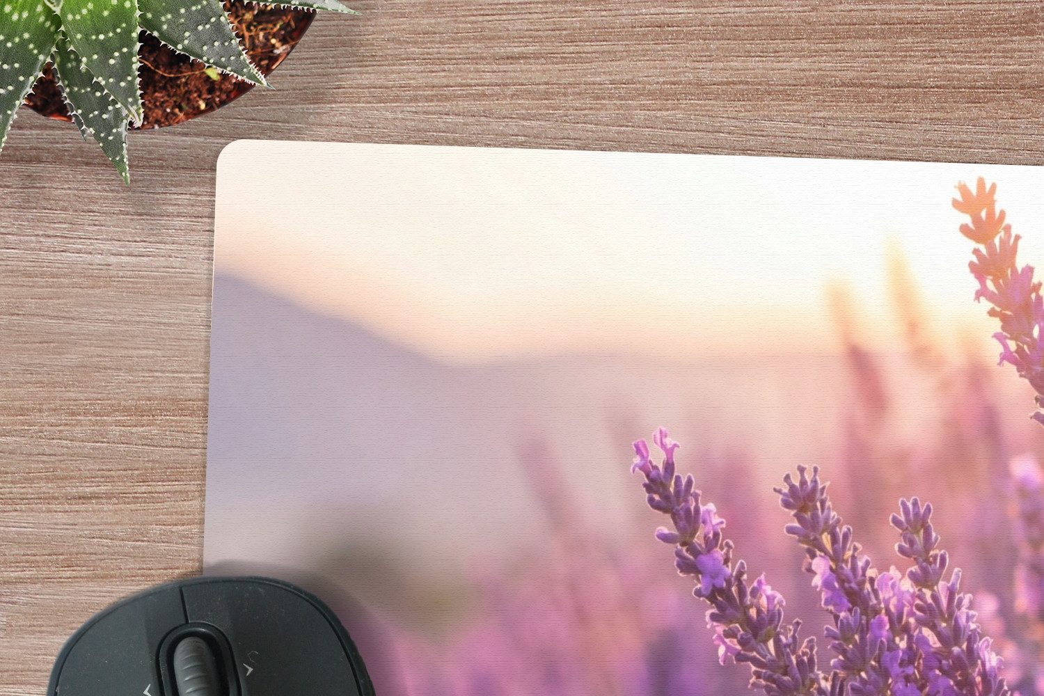 MuchoWow Mauspad Lavendel - Lila - Sonnenlicht (1-St), Mouse pad Klein, Gaming Deko, PC Zubehör, 13x8 cm