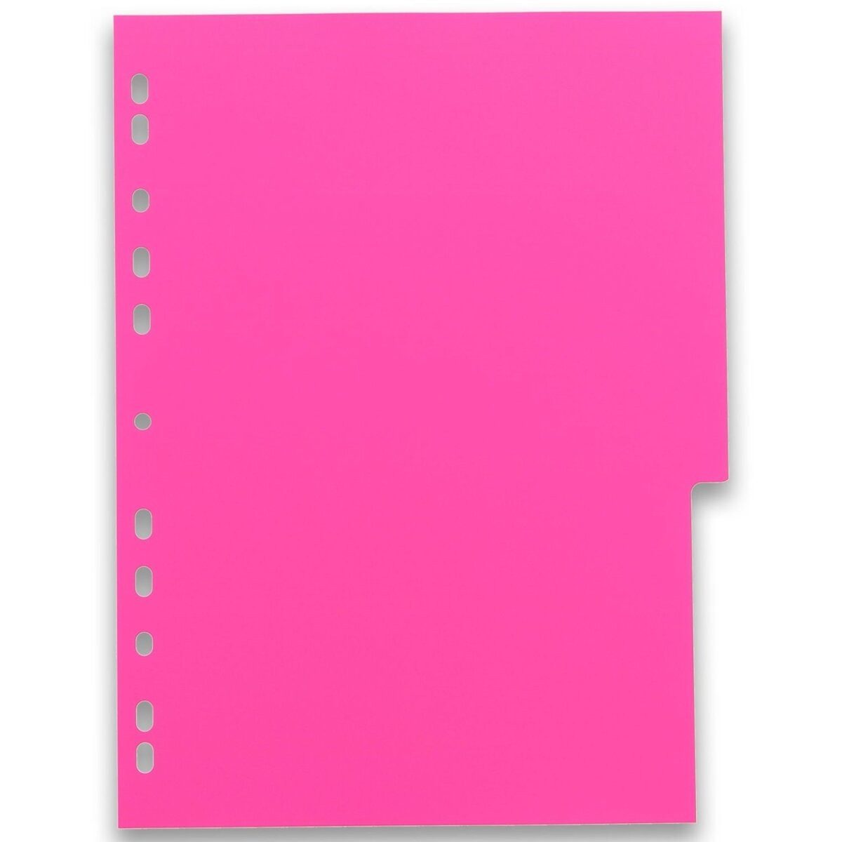 OXFORD Aktenordner Register myColour A4 PP 300 my 12 Blatt sortierte Packung