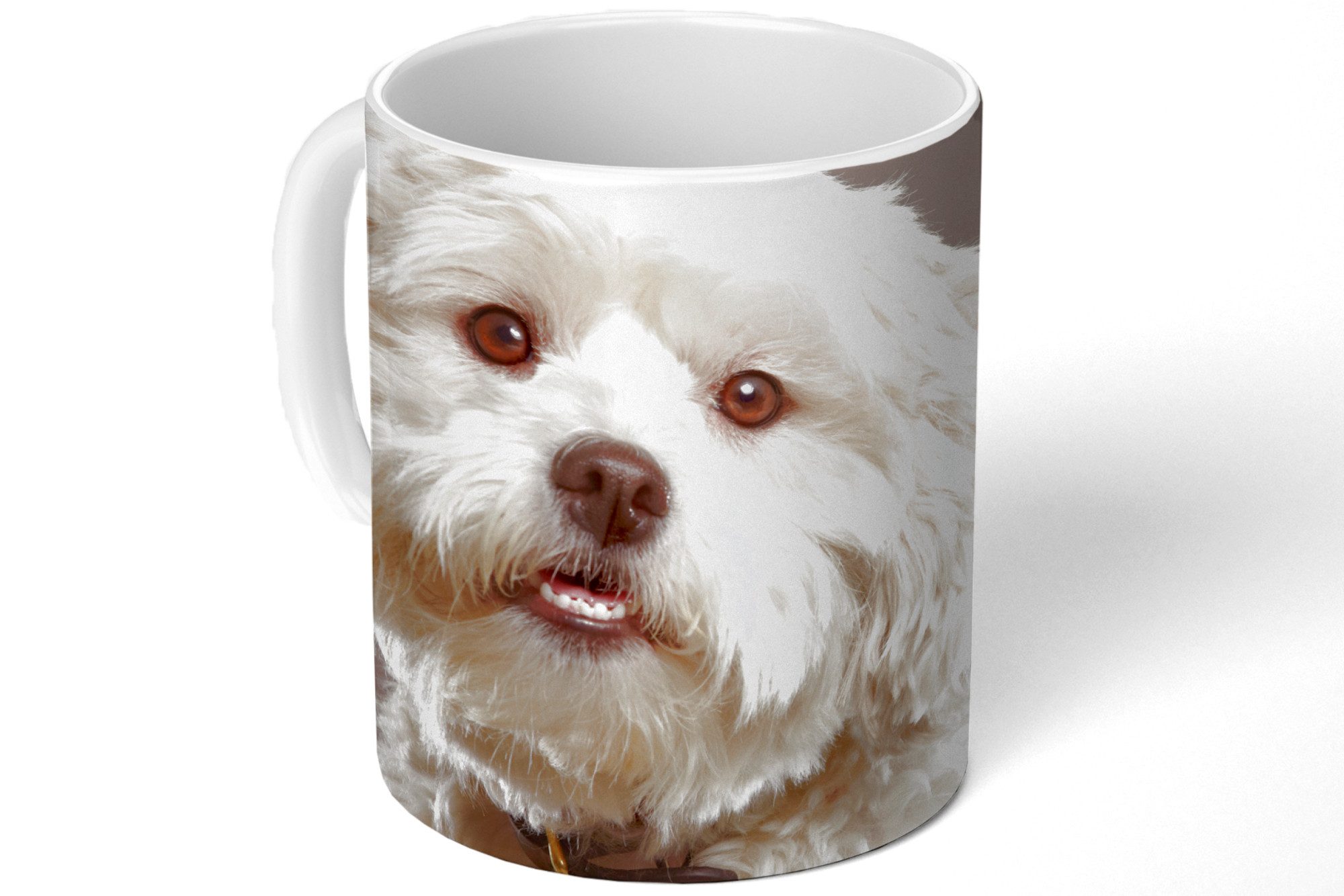 MuchoWow Tasse Malteser Hund Porträt, 1-tlg., Keramik, Kaffeetassen, Teetasse, Becher, Kaffeebecher, Geschenk