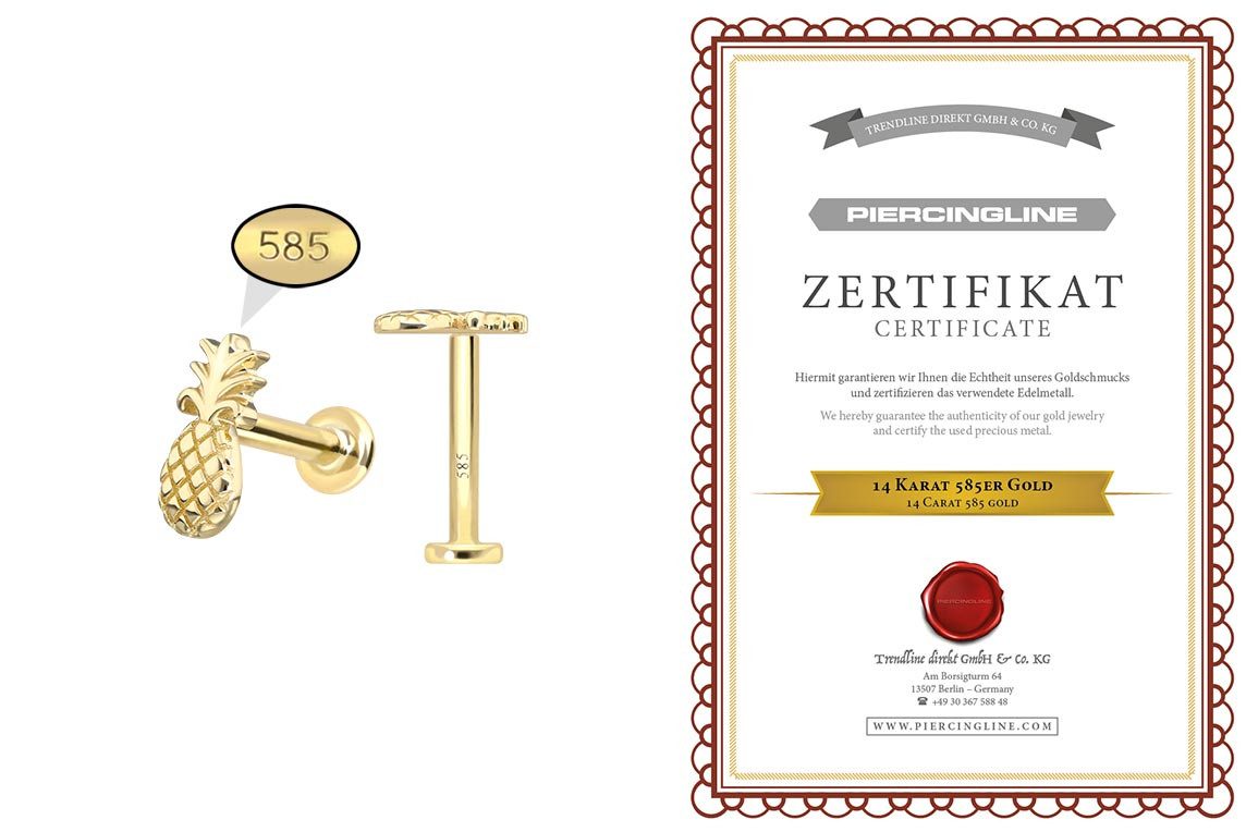 PIERCINGLINE Piercing-Set 14 Karat Gold Labret mit Push Fit ANANAS (Labrets, 1-tlg)