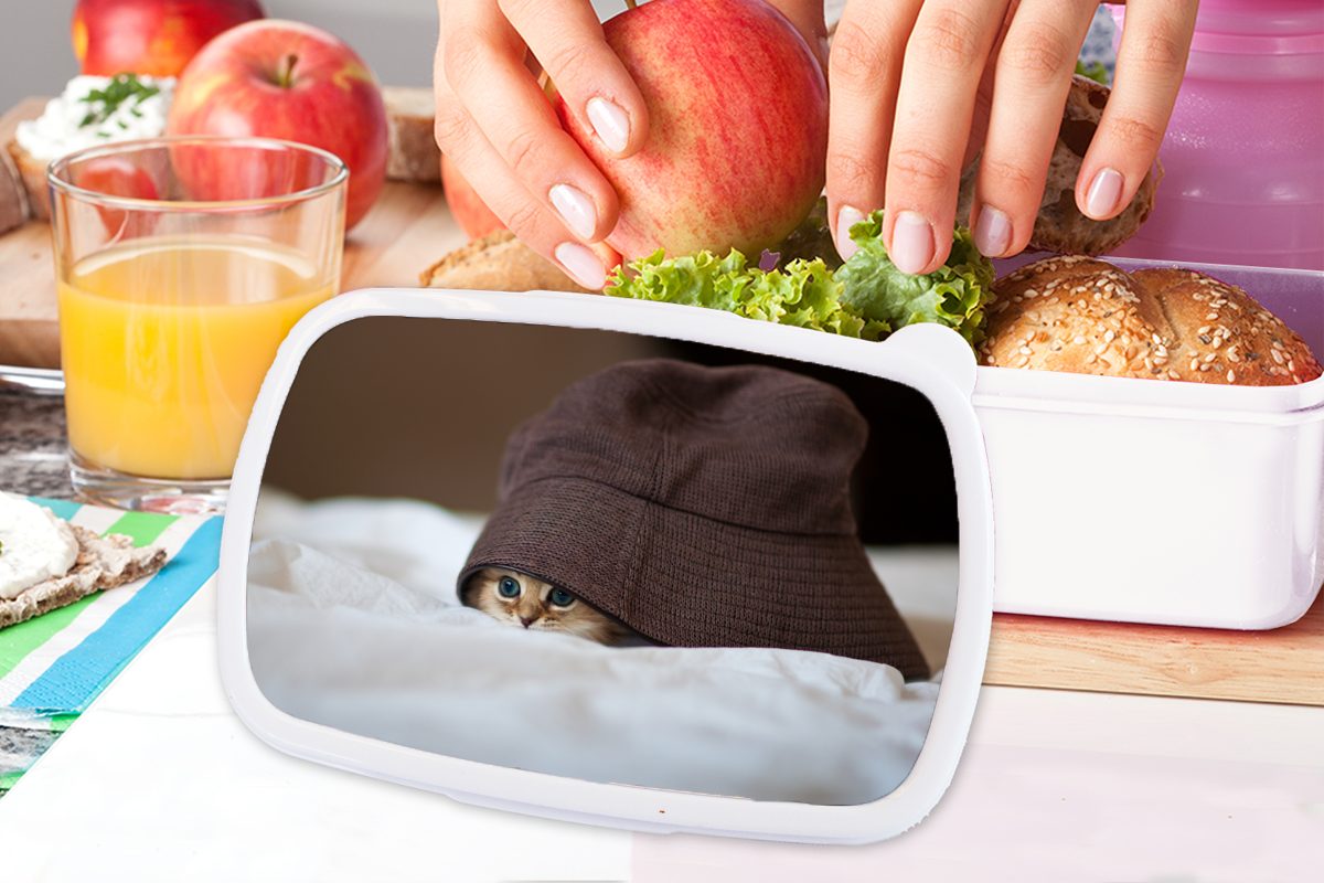 Jungs Kinder für Brotdose, Erwachsene, weiß einem Brotbox Mädchen Kunststoff, für und unter (2-tlg), persisches Kätzchen, MuchoWow Lunchbox und Ein versteckt Hut,