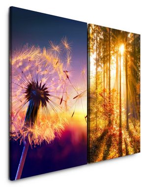 Sinus Art Leinwandbild 2 Bilder je 60x90cm Pusteblume Wald Sommer Sonnenstrahlen warmes Licht Heilsam positive Energie