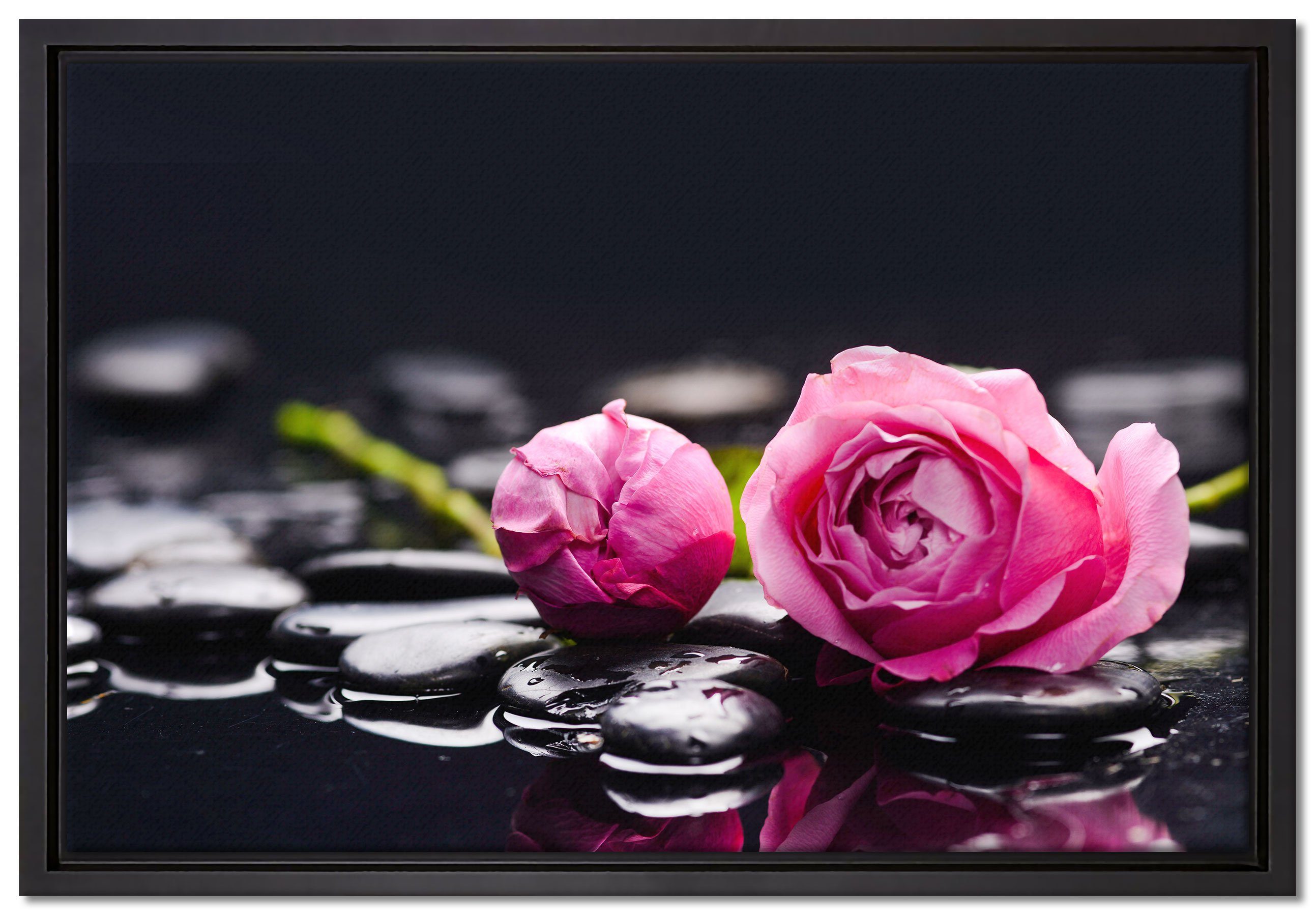 Pixxprint Leinwandbild Rosa Rosenblüte Hintergrund, Wanddekoration (1 St), Leinwandbild fertig bespannt, in einem Schattenfugen-Bilderrahmen gefasst, inkl. Zackenaufhänger