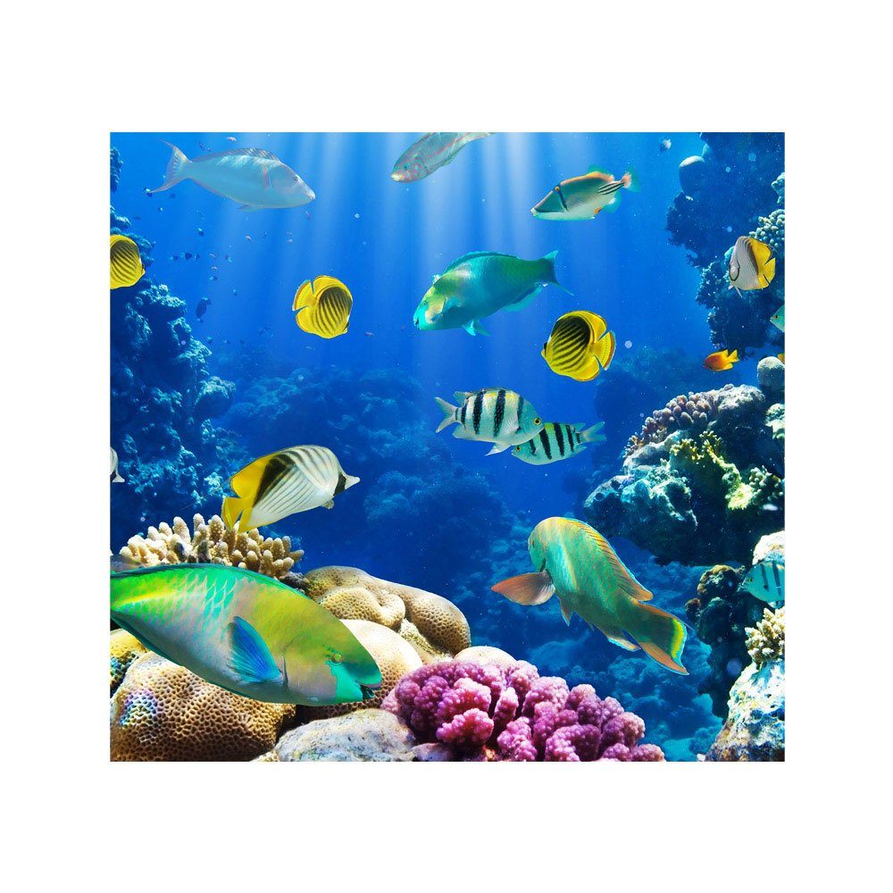 liwwing Fototapete Fototapete Aquarium Meer no. Fische Unterwasser Tiere Korallenrif Riff 33, Meereswelt