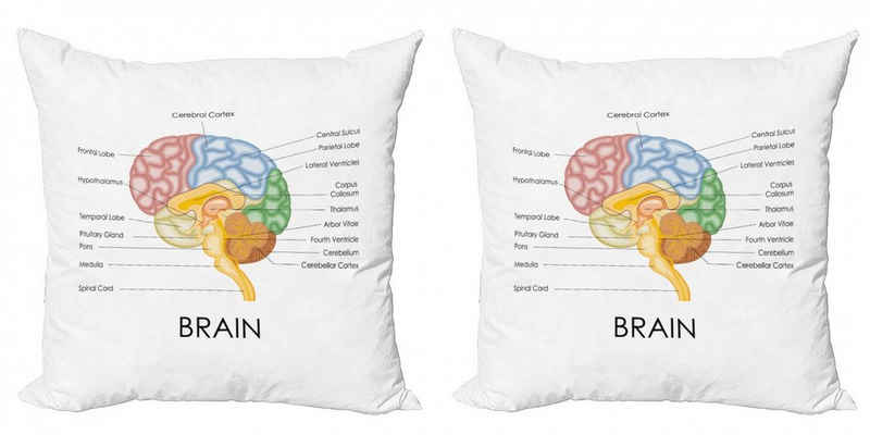 Kissenbezüge Modern Accent Doppelseitiger Digitaldruck, Abakuhaus (2 Stück), Anatomie Wissenschaft Menschlichen Gehirn Teilen