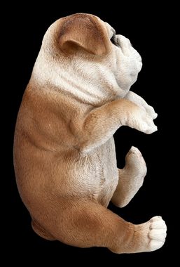 Figuren Shop GmbH Tierfigur Bulldogge Welpen Figur als Blumentopf-Hänger - Hunde Dekofigur