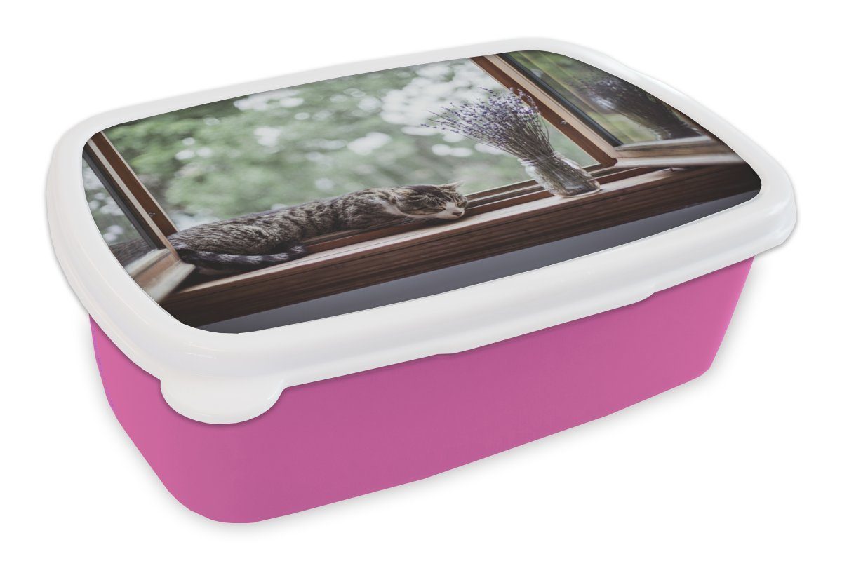 MuchoWow Lunchbox Zypresse Katze aus dem Fenster, Kunststoff, (2-tlg), Brotbox für Erwachsene, Brotdose Kinder, Snackbox, Mädchen, Kunststoff rosa