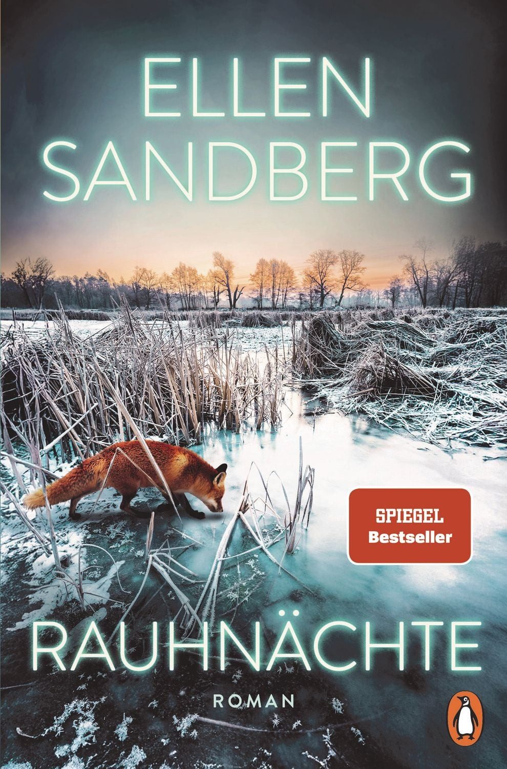 Rauhnächte / Ellen Sandberg, Roman - Atmosphärische Spannung von der SPIEGEL-Bestsellerautorin, SPIEGEL-Bestseller