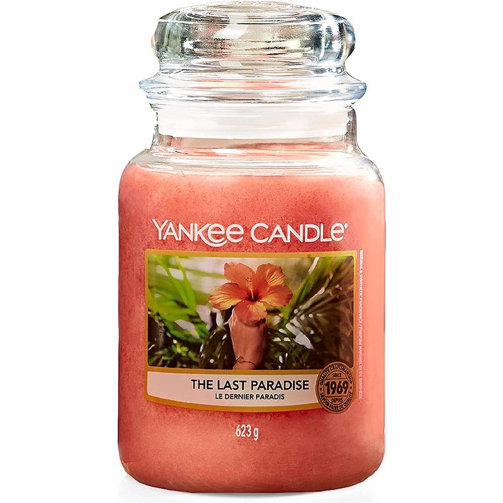 Yankee Candle Duftkerze The Last Paradise, im Glas, 623 g, Noten von Früchten und Pflanzen des Regenwaldes