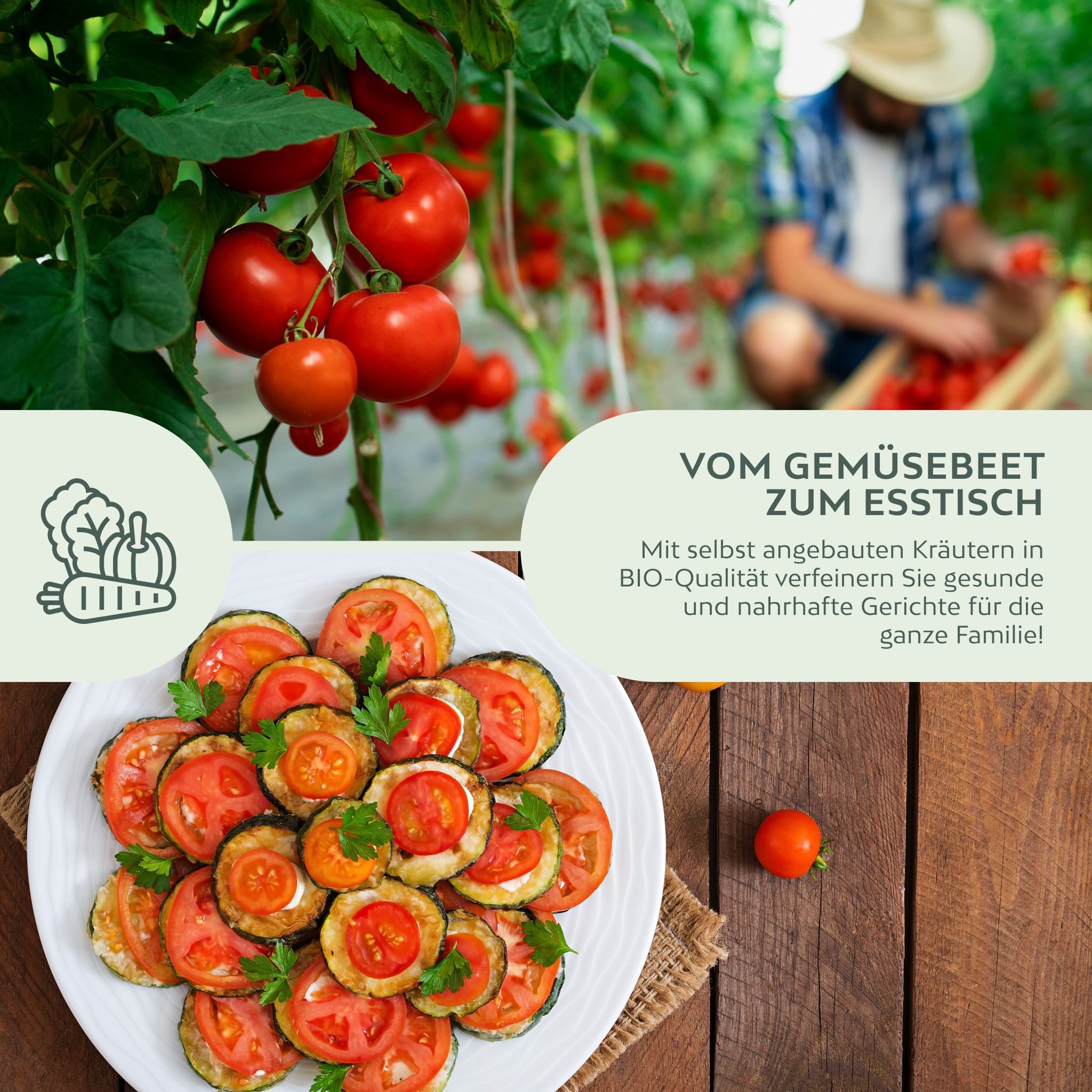 Growgreens Gemüsesamen BIO Tomatensamen Set (10 Sorten) - Tomaten Anzuchtset aus bio. Anbau, Gemüse