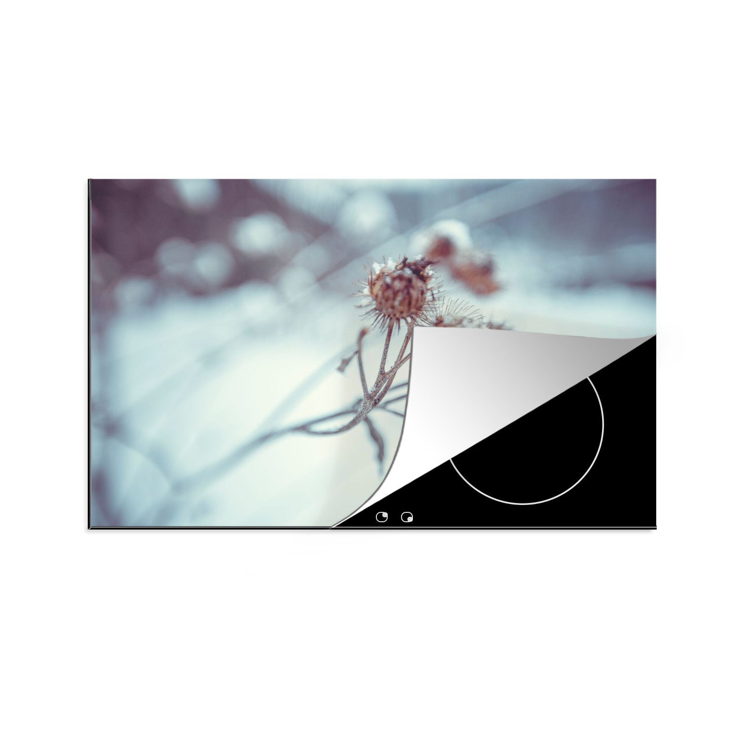 MuchoWow Herdblende-/Abdeckplatte Pflanzen - Winter - Schnee - Natur, Vinyl, (1 tlg), 80x52 cm, Induktionskochfeld Schutz für die küche, Ceranfeldabdeckung