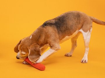 myfelt Tier-Intelligenzspielzeug Filz Hundespielzeug - Stock, reine Schurwolle, 26 cm, ideal für Zerrspiele