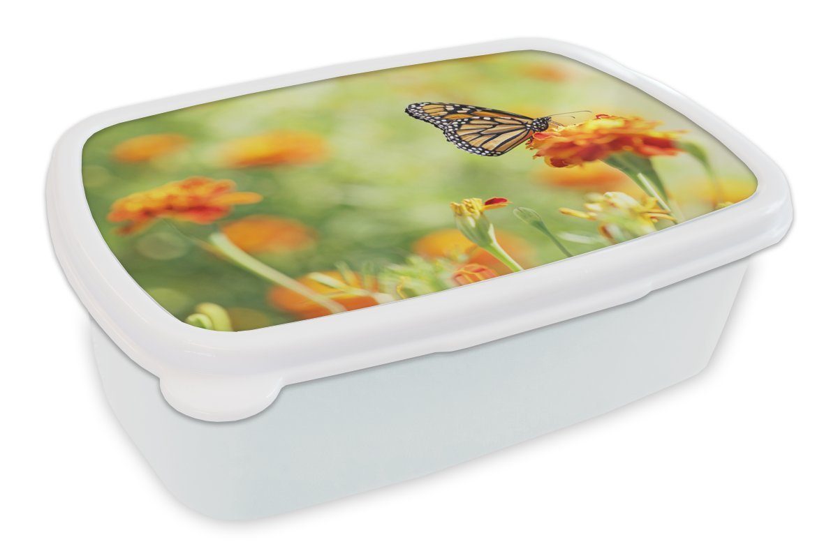 MuchoWow Lunchbox Monarchfalter auf Blüte, Kunststoff, (2-tlg), Brotbox für Kinder und Erwachsene, Brotdose, für Jungs und Mädchen weiß